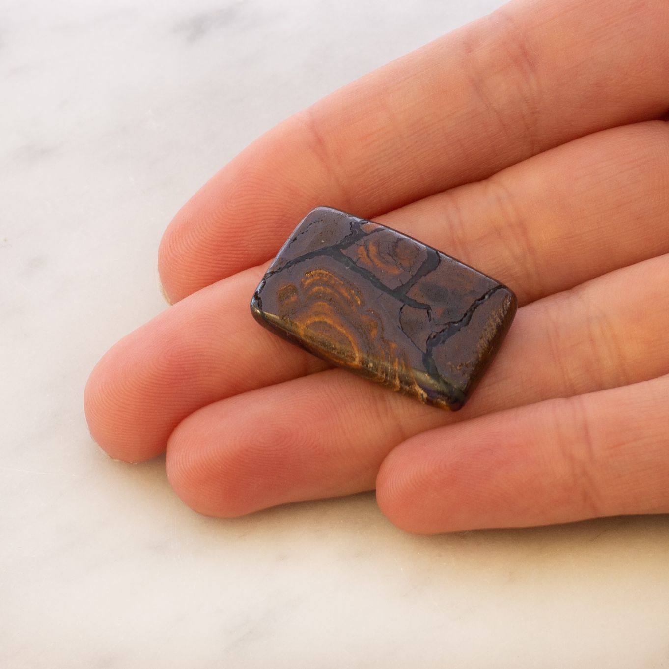 8501 hand image z.jpg