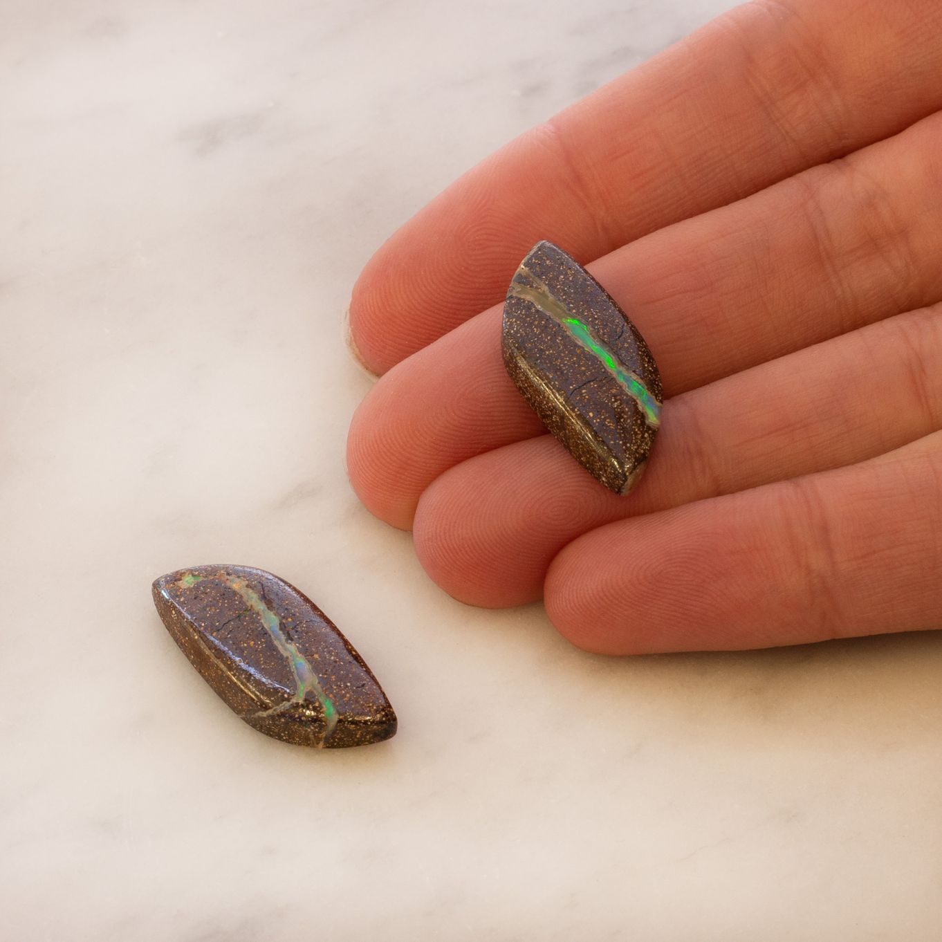 8516 hand image z.jpg