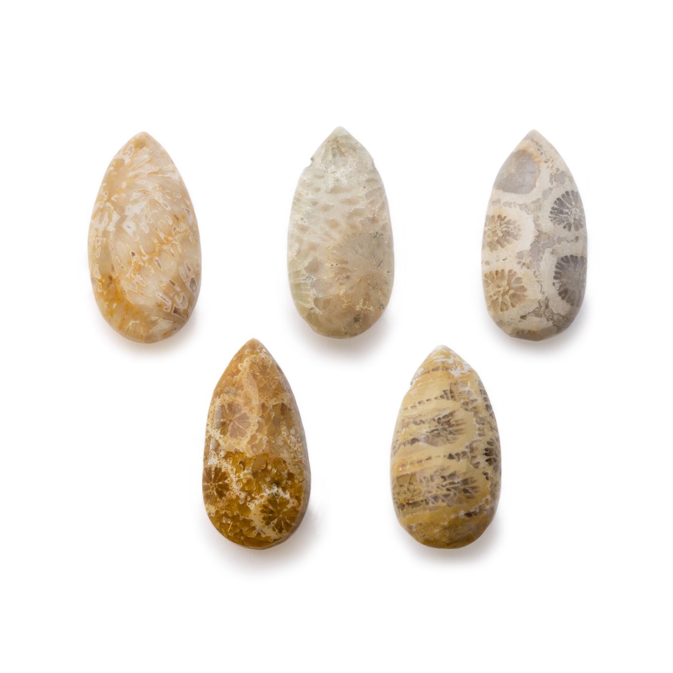 Fossilised Coral Faceted Teardrop Briolette Beads - From 8mm