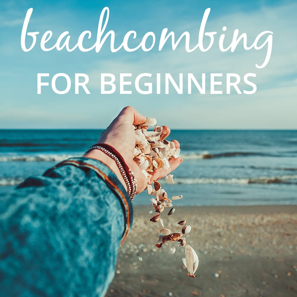 This beach is incredible! – Beachcombing Magazine