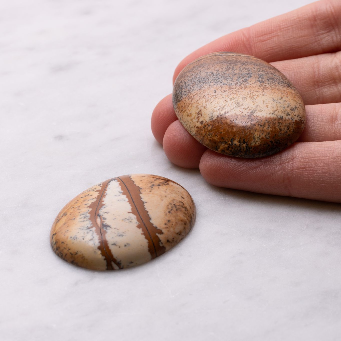 h157 hand cameo z.jpg