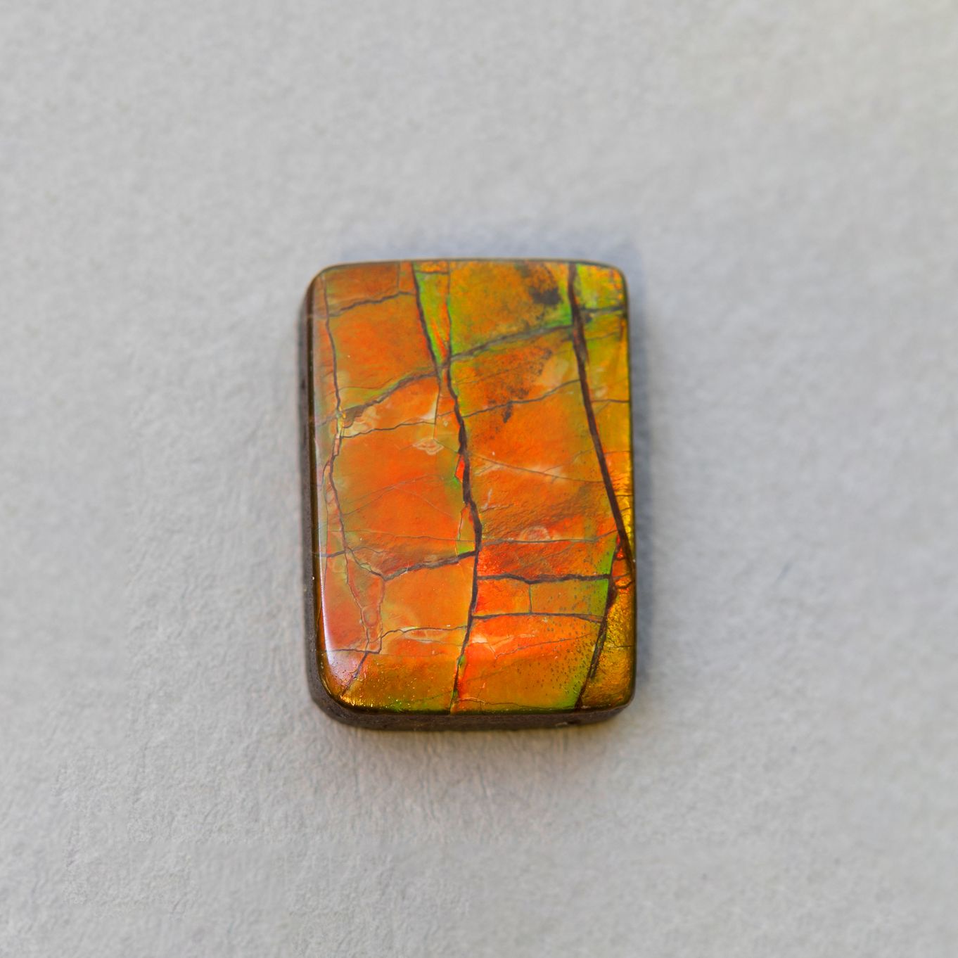 Ammolite order Cabochon