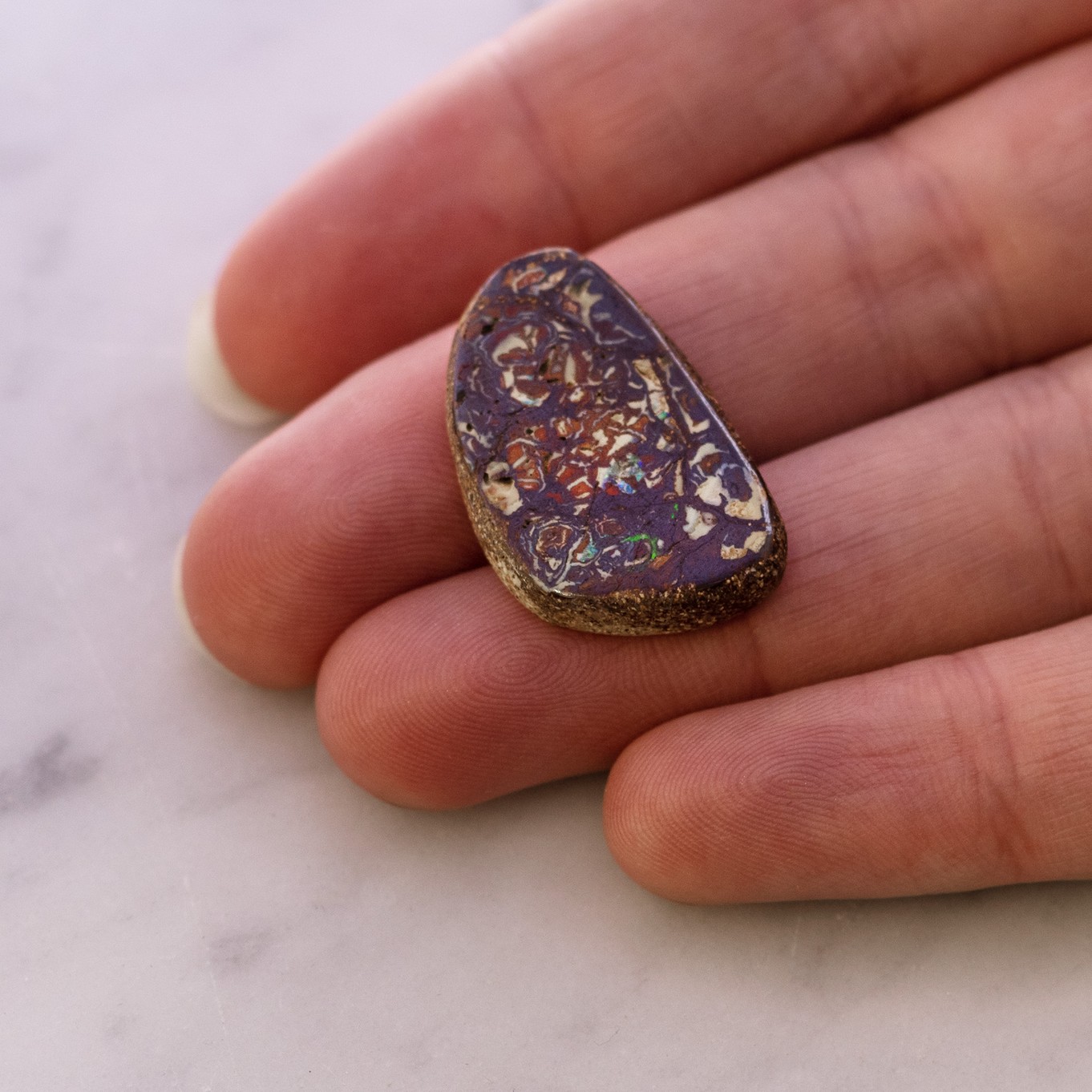 9102 hand image z.jpg