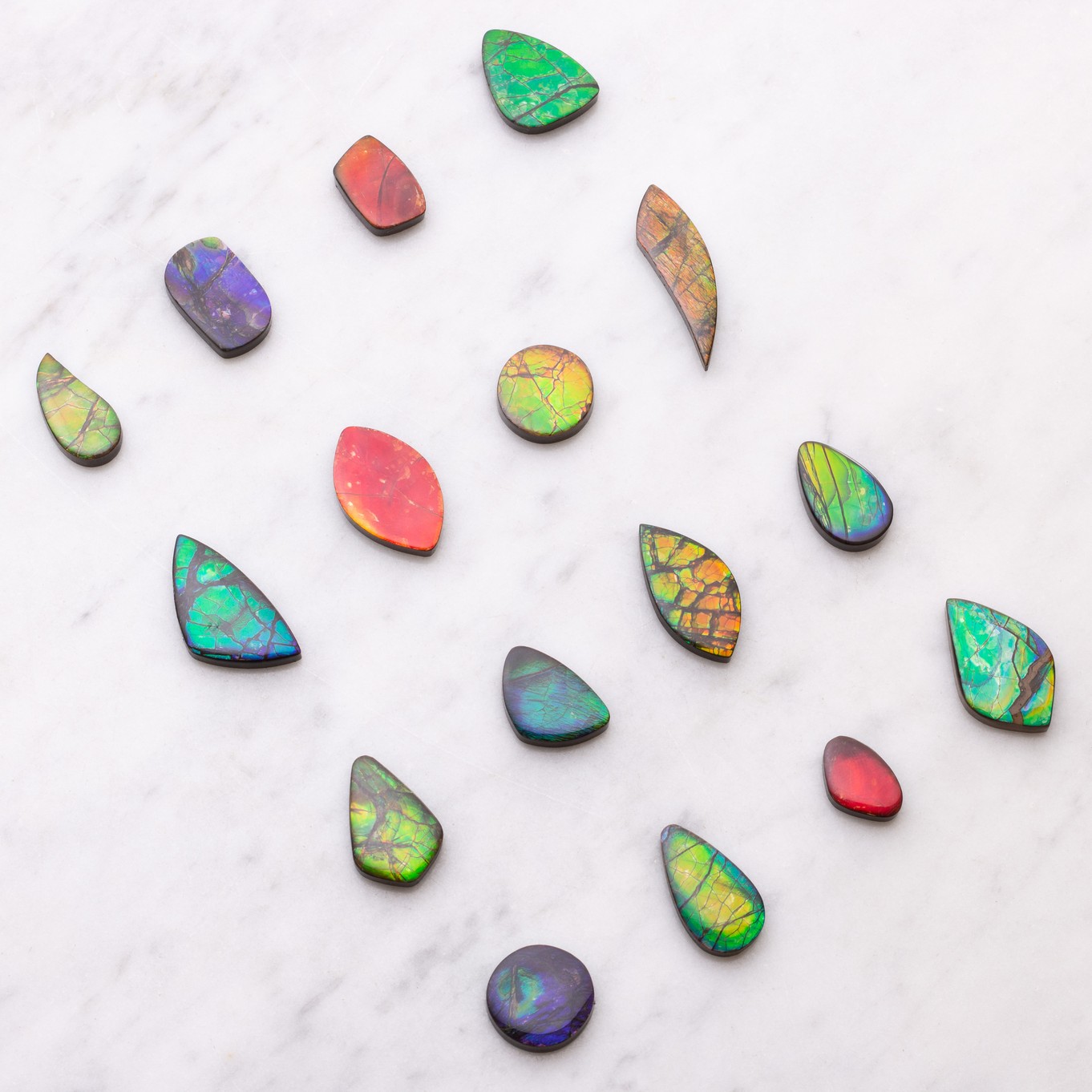 ammolite marketing image 3 z.jpg