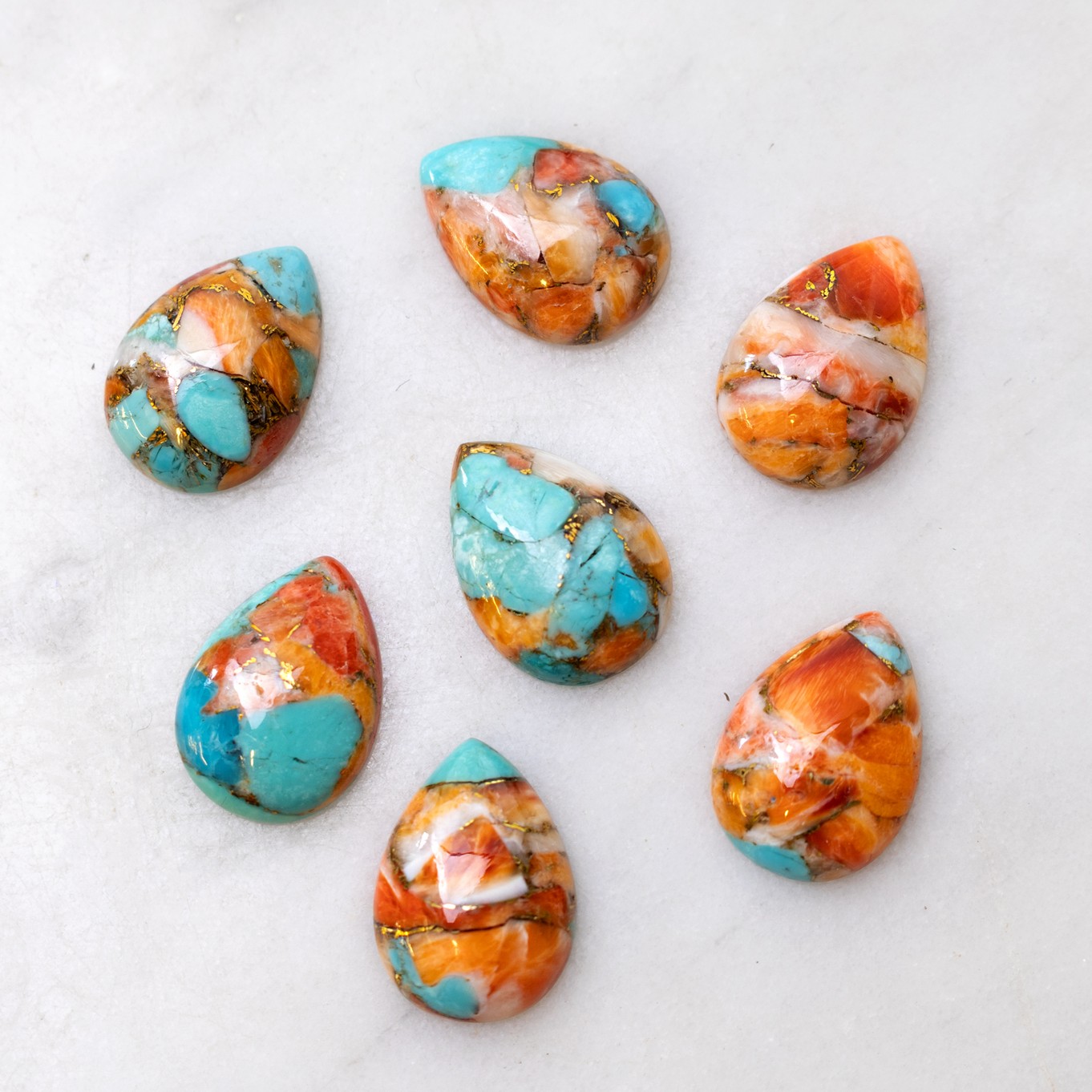 Spiny Oyster Turquoise Cabochons