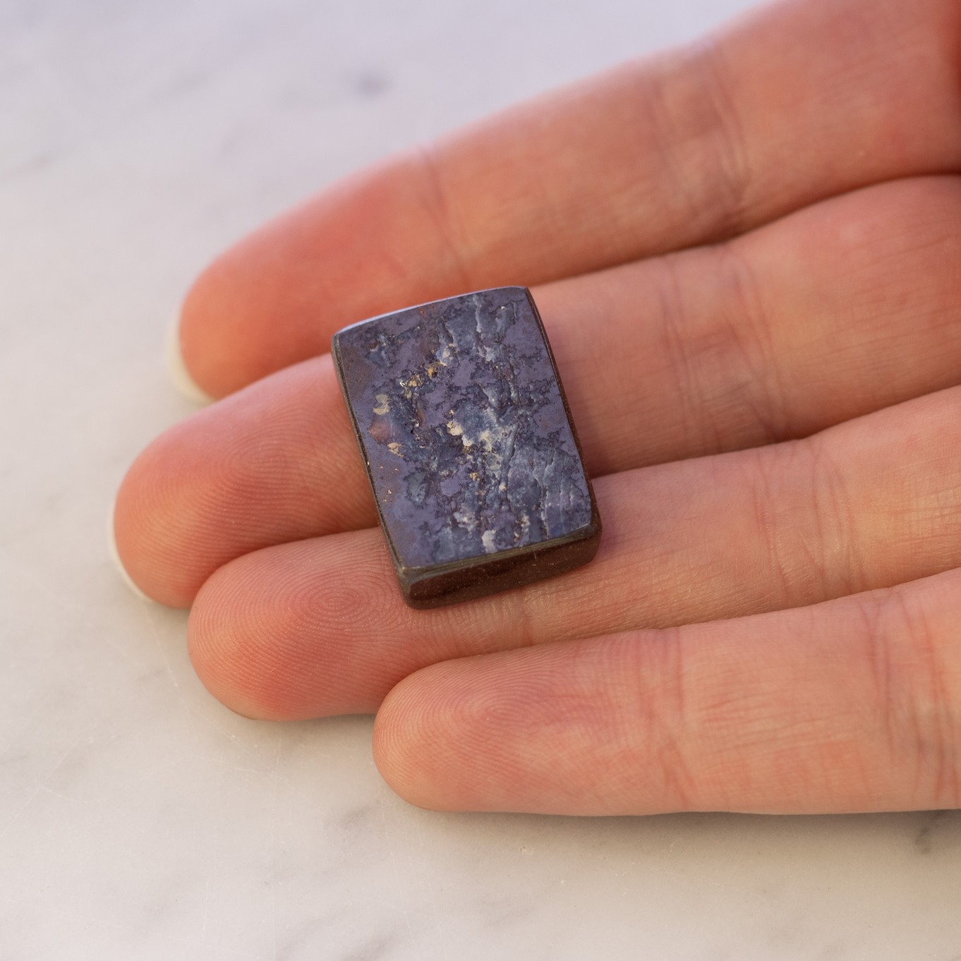 9109 hand image z.jpg