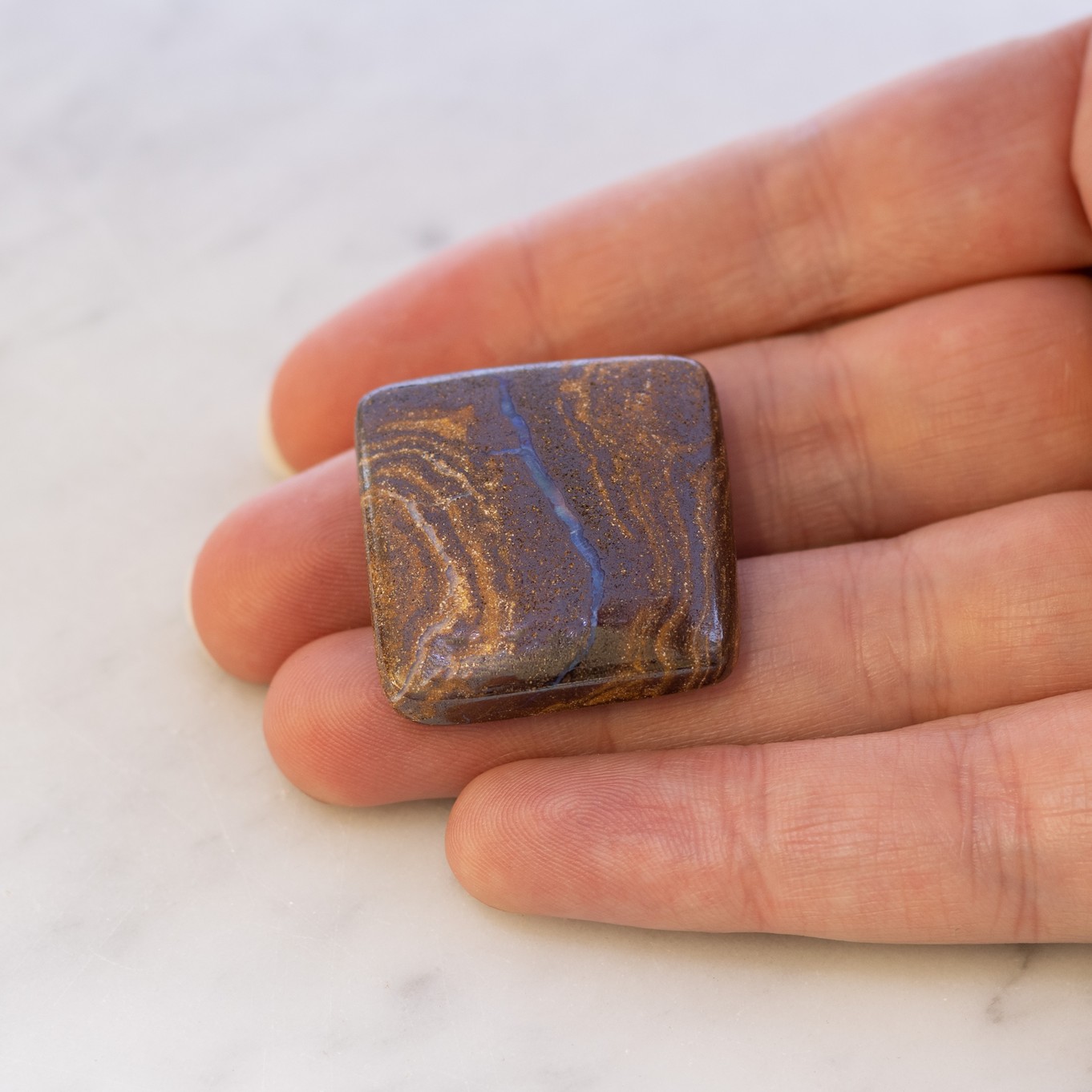 9107 hand image z.jpg