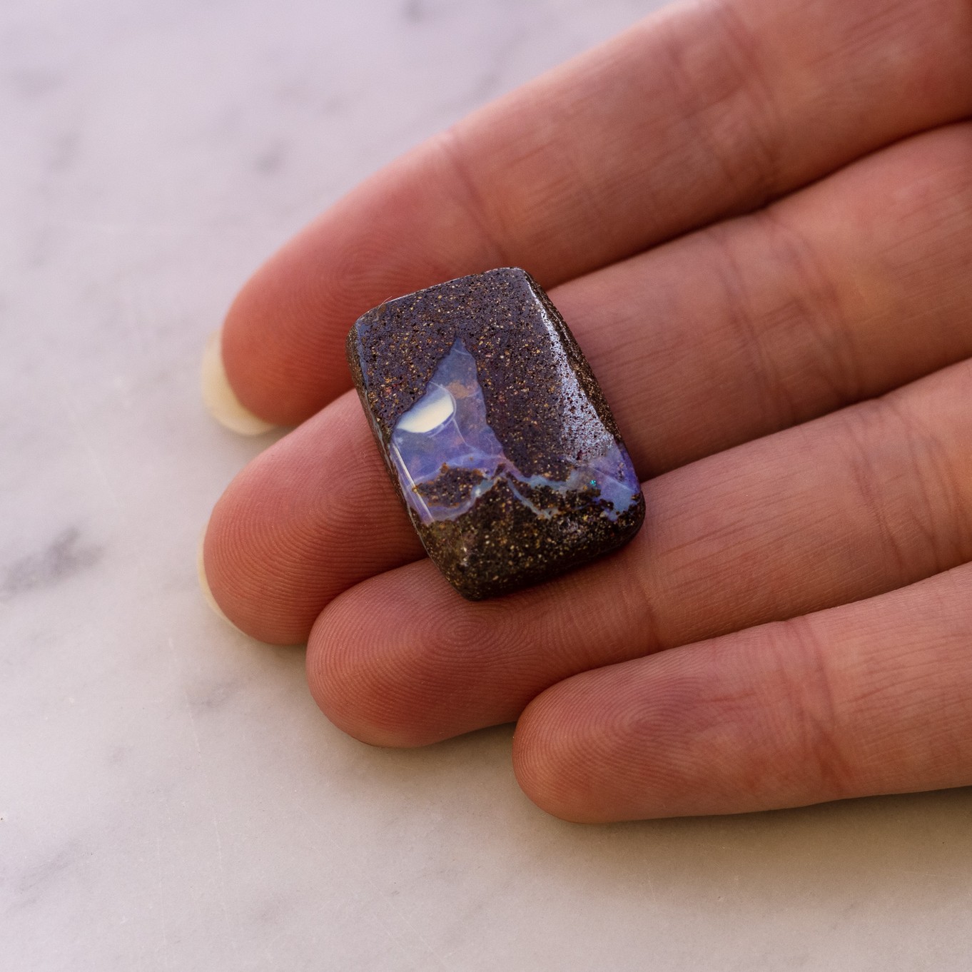 9101 hand image z.jpg