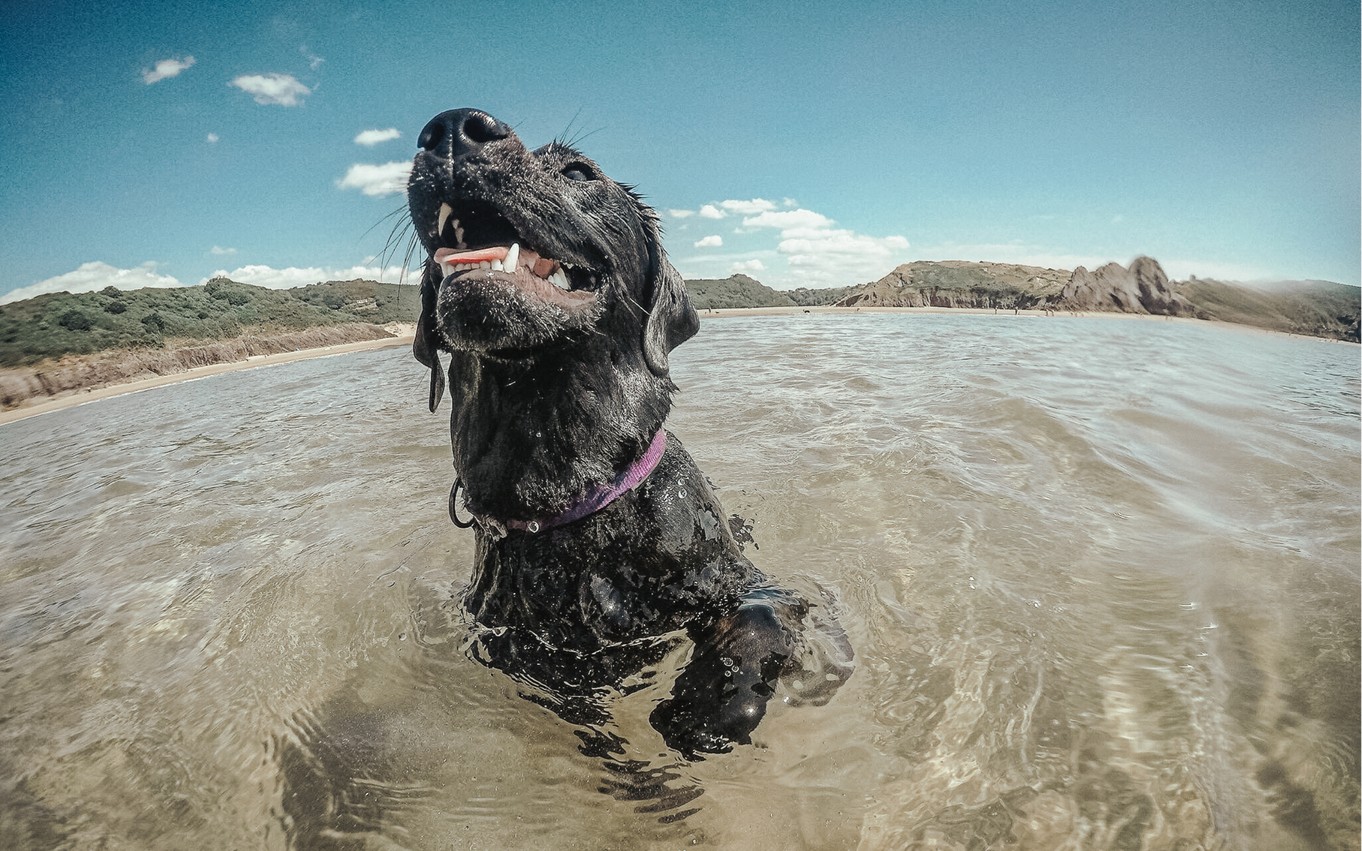 ula jewellery bligh-swimming-wales-three-cliffs-bay.jpg